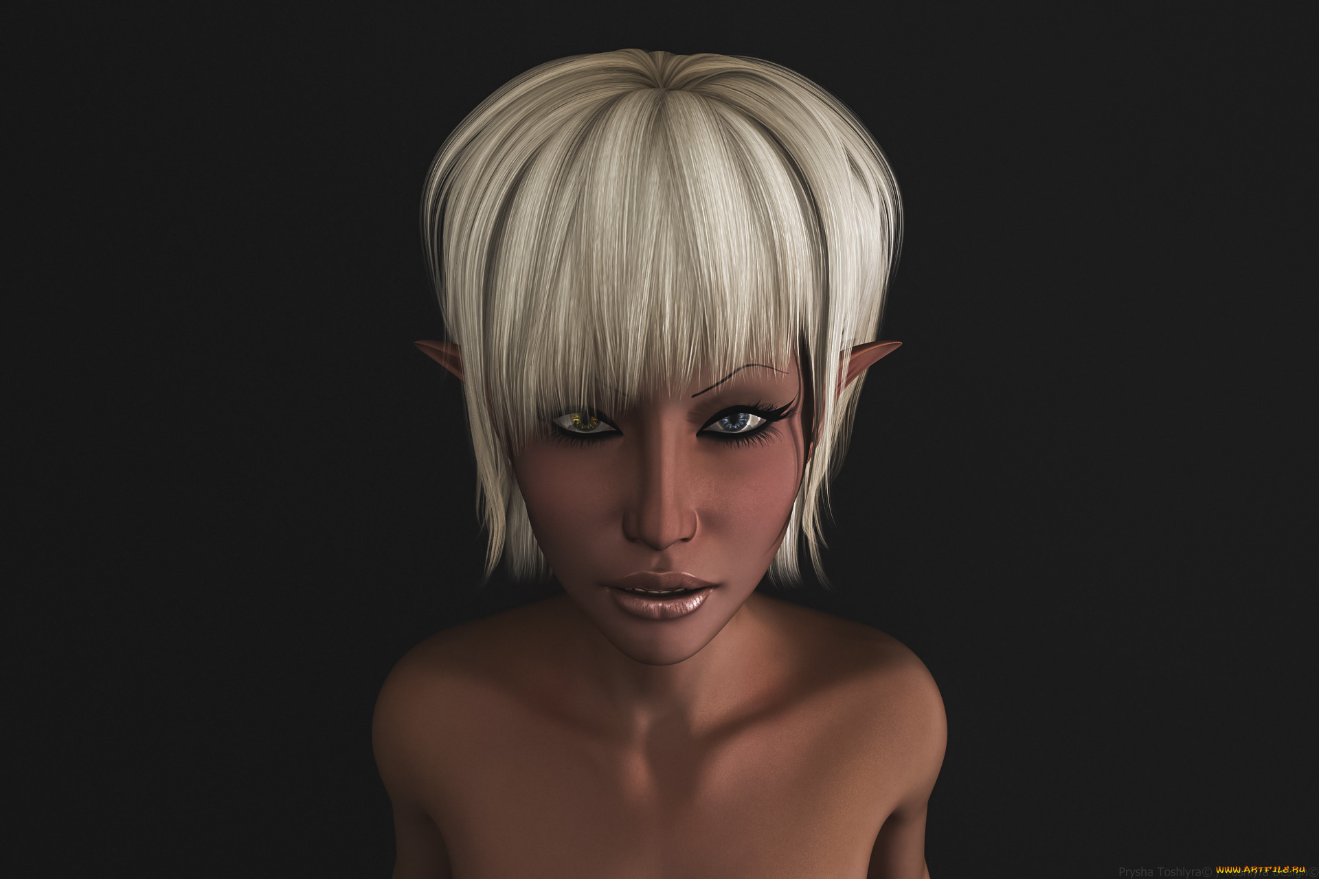 3 ,  , elves, , , 